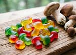Road Trip Mushroom Gummies